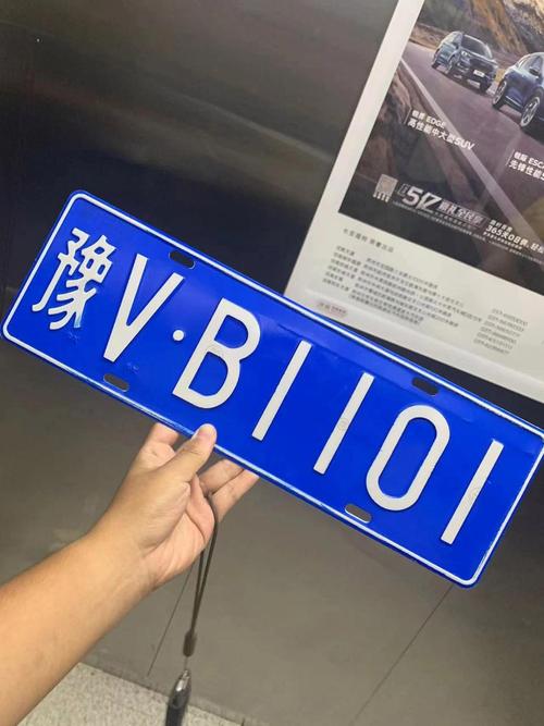 豫D车牌:河南地区独特标识!