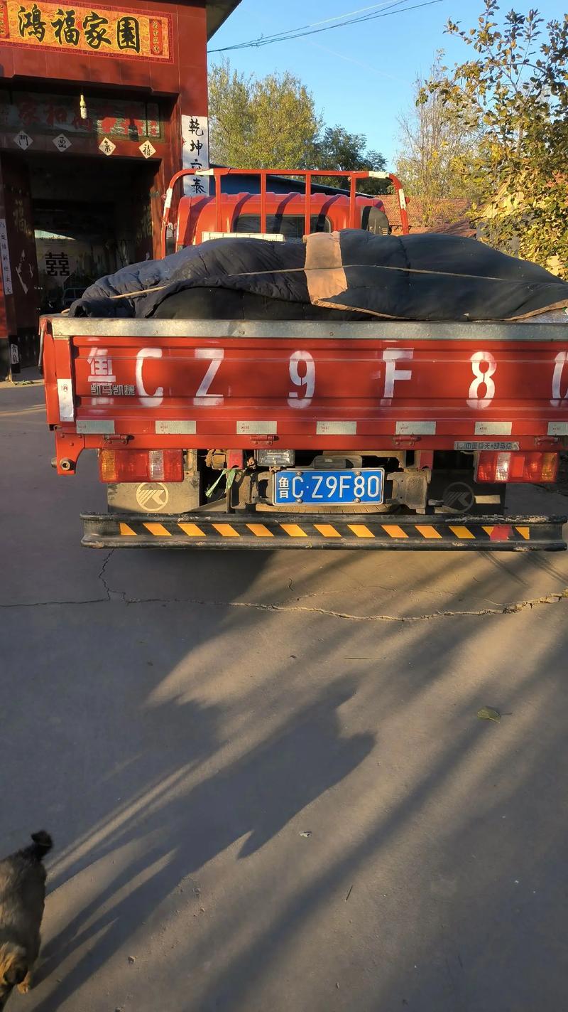 温岭车牌靓号转让:遇见独特,遇见美好
