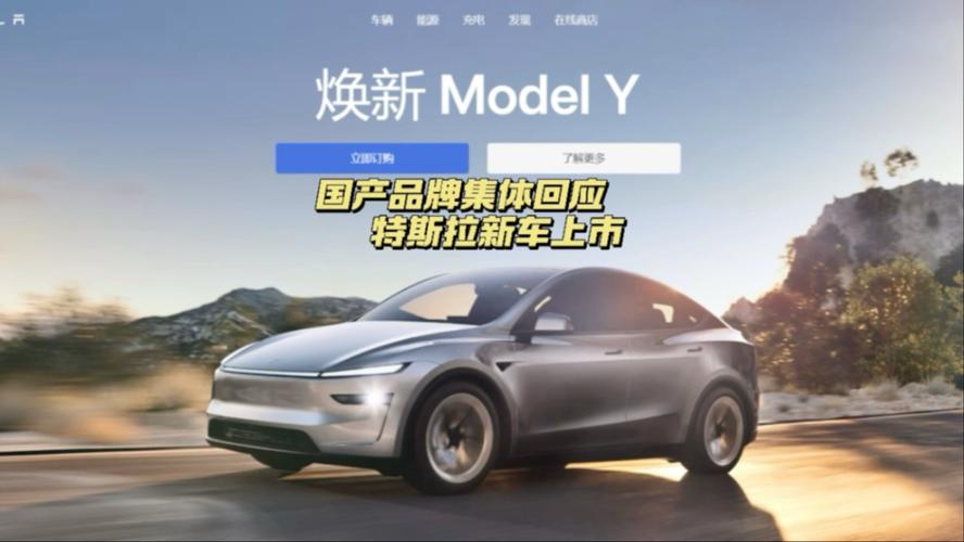 特斯拉引领未来,电动汽车品牌新势力崛起!