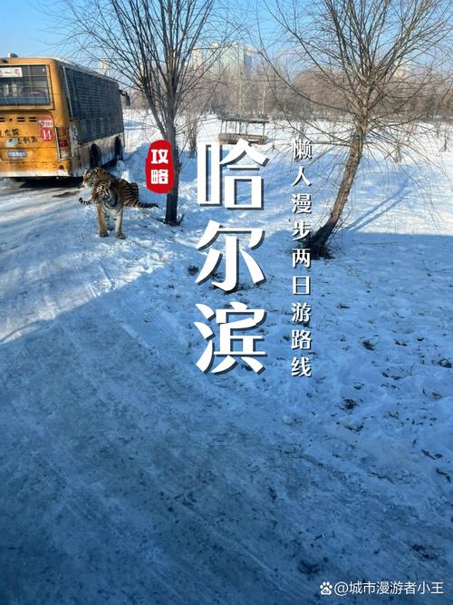 黑龙江:冰城速度,畅行无阻!