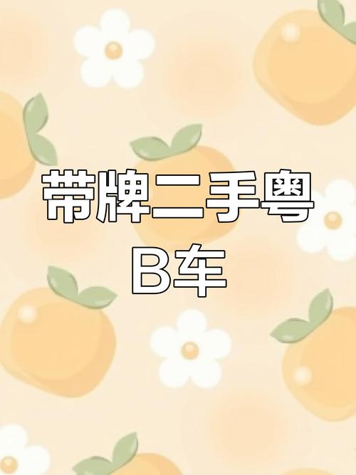 深圳车牌靓号转让:见证城市繁华的数字印记