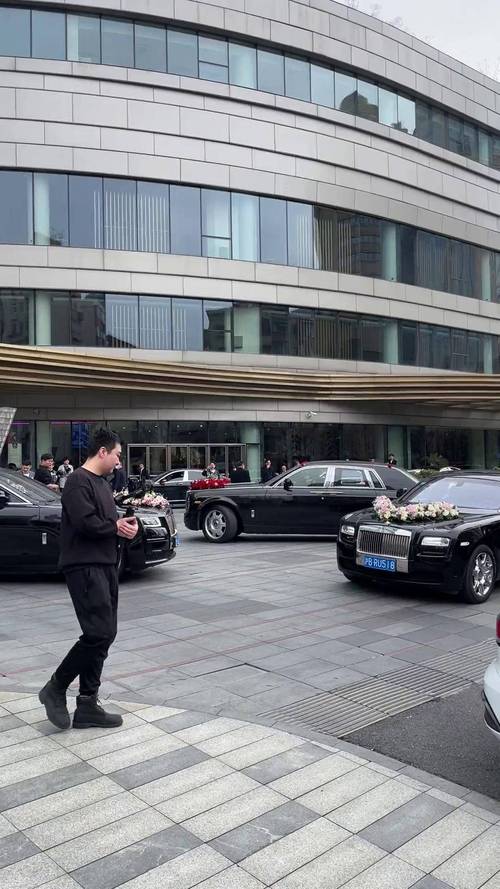 沪上车牌靓号车队,闪耀都市繁华之路