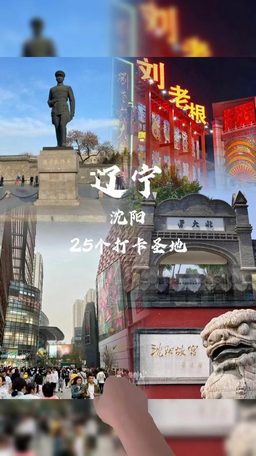 沈阳车牌靓号:一串数字,见证城市繁华与梦想腾飞