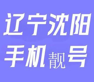 沈阳车牌靓号:一串数字,见证城市繁华与梦想腾飞