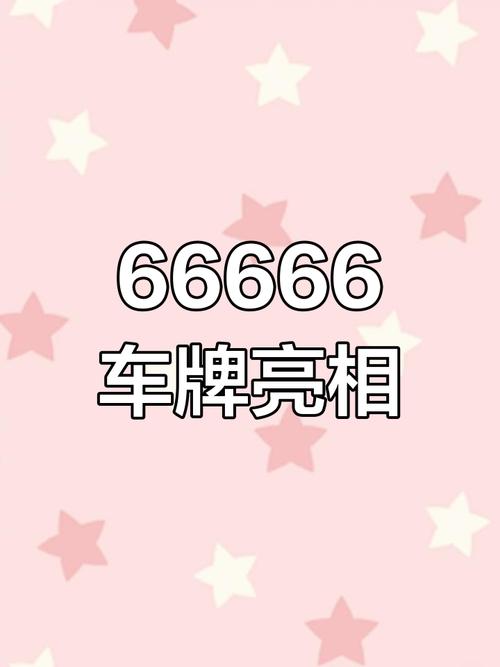 车牌号263:独特魅力,其背后的热门故事!
