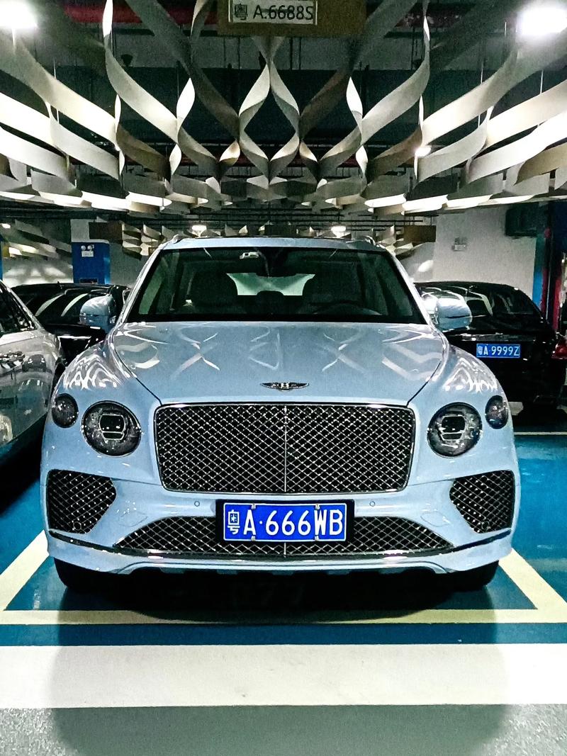 车牌标志:这是什么豪车?