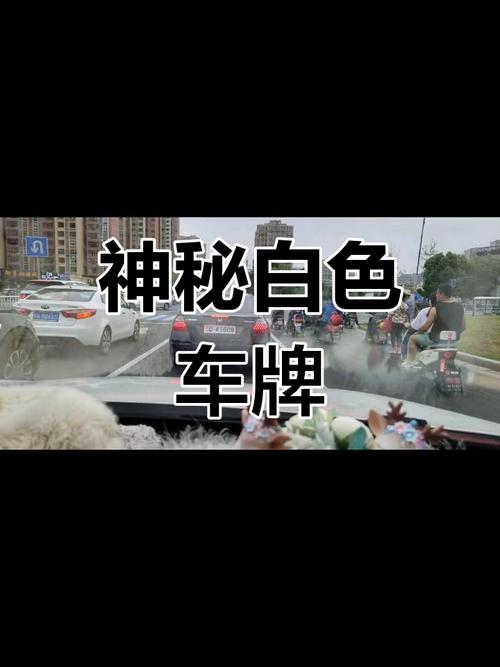jd车牌:热门城市中令人瞩目的神秘车牌故事