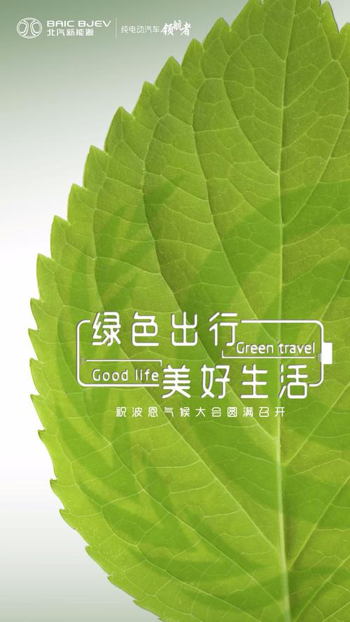 绿色出行新潮流:上海电动汽车牌照颜色引领环保风尚