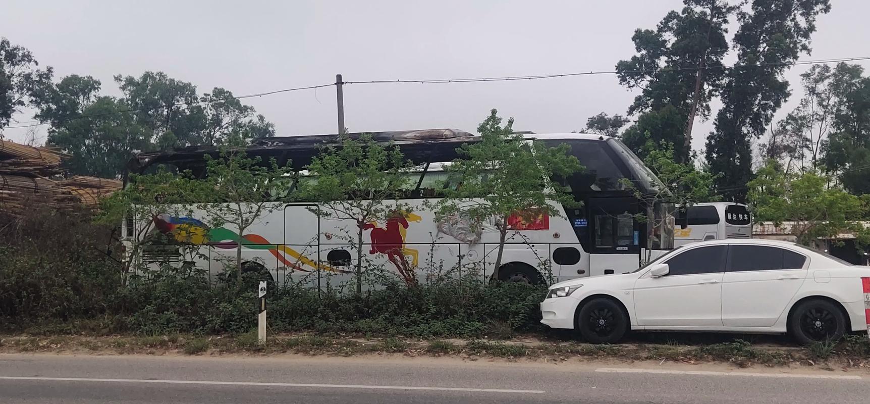 吴川车牌靓号,探寻粤西地区车牌魅力