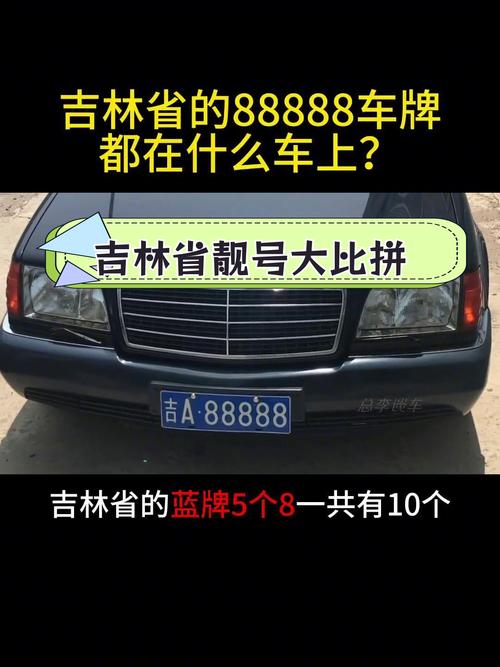 吉林通化车牌88888”惊艳亮相,抢眼靓号引发车友热议!