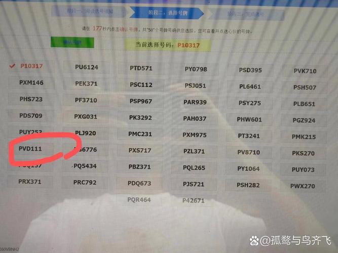 111车牌价格:究竟值多少钱?