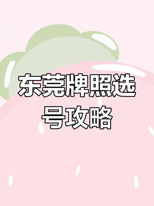 东莞车牌靓号查询新动向:最新靓号信息汇总