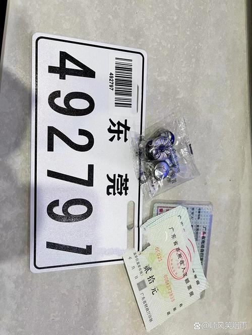 东莞车牌靓号图片曝光,高清靓丽引关注