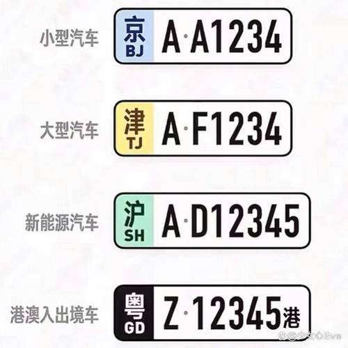 幼儿园车牌颜色大:红色、蓝色、绿色,哪个最受欢迎?