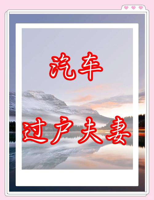 天津车牌父子过户:传承与爱的接力