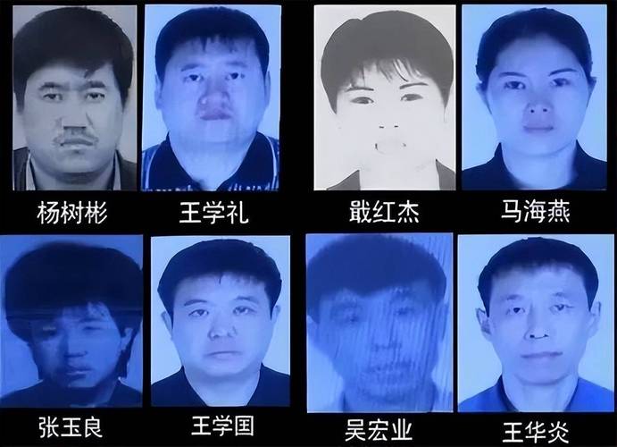 哈尔滨车牌靓号骗局大：背后真相令人震惊！