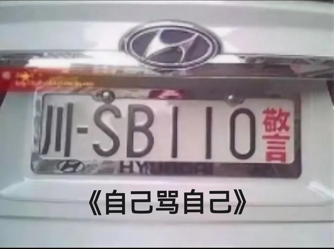 车牌号：你笑我号丑，我笑你脸大！
