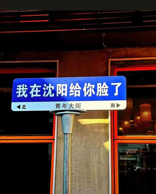 车牌号：你笑我号丑，我笑你脸大！