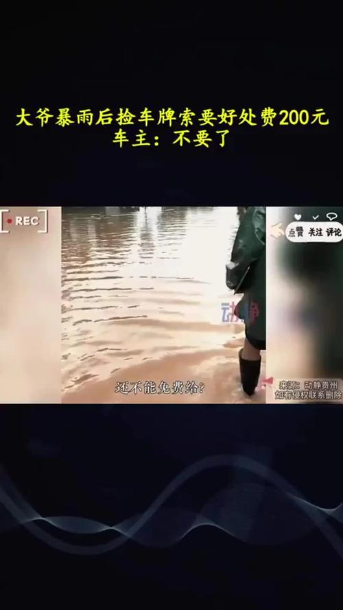 青岛暴雨中车牌失踪，市民急寻车牌引发热议！