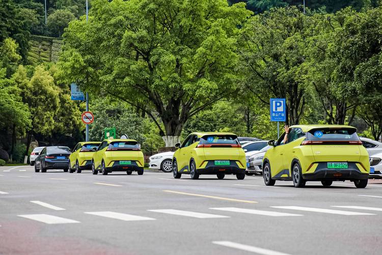 广州新能源车牌B热抢,绿色出行新风尚!