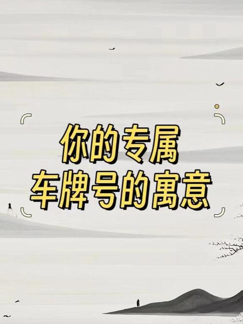 车牌情缘:逆位中的爱情轨迹,车牌见证的甜蜜蜕变
