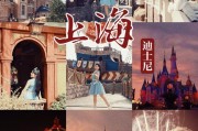 迪士尼车牌：梦幻之旅，一牌在手！