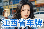 江西车牌2222惊艳亮相，好运连连