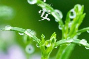 滕州车牌新能源靓号，传承绿色梦想，号码等你来揭晓