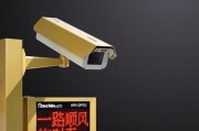 破解小区车牌识别系统：智能物业的潜在漏洞