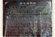 岳飞故里：岳f车牌背后的历史渊源