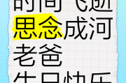 车牌号藏深情，父亲生日成爱意永恒印记