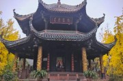 亭是什么地方车牌，隐藏在号牌中的文化底蕴