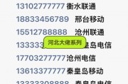 探寻河北蠡县车牌靓号，热线电话为您揭晓神秘号码