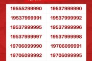 车牌王炸！9999靓号一锤定音，抢购热潮来袭！