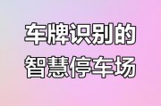 智能车牌技术助力，告别违章烦恼，轻松出行无忧