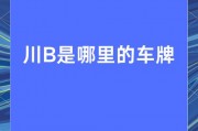 川B车牌靓号6：车牌背后的故事与传奇