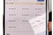手机车牌号挑选攻略：个性化车牌轻松上手