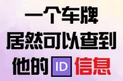 车牌234引关注，车主神秘身份！