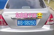 探秘仙桃车牌：自选官网带你领略个性车标魅力
