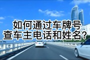 轻松一查，网上车牌号车主信息尽在掌握！