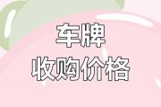 车牌号3个0天价出售，百万珍品等你来抢！