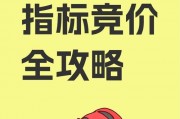 天津车牌竞价全攻略：竞价流程与技巧