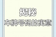 福利车牌号：你懂得，车牌号背后的秘密大公开！