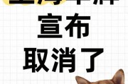 上海车牌过户新政来袭，二手市场风云再起！