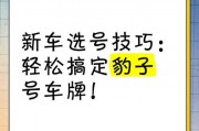 轻松解锁豹子车牌：教你如何挑选心仪的吉祥号码