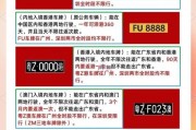 破解车牌之谜：不同车牌如何合法处理？