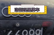 洛阳车牌靓号竞拍风云：车牌背后的故事与传奇