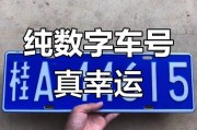 2021车牌靓号：数字之美，车牌之韵
