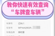 潍坊车牌靓号申请攻略：轻松掌握办理流程