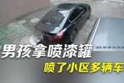 车牌被喷漆，车主如何维权？热门攻略教你应对！
